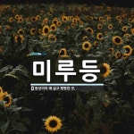 미루등 뜻: 등성이의 꽤 넓고 평평한 곳.