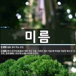 미름 뜻