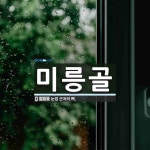 미릉골 뜻: 눈썹 근처의 뼈.