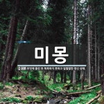 미몽 뜻: 무엇에 홀린 듯 똑똑하지 못하고 얼떨떨한 정신 상태.