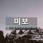 미보 뜻