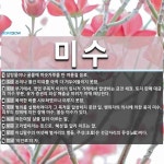 미수 뜻: 설탕물이나 꿀물에 미숫가루를 탄 여름철 음료., 돈이나 물건 따위를 아직 다 거두어들이지 [국어 사전] 미수 뜻... 