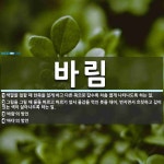 바림 뜻: 색깔을 칠할 때 한쪽을 짙게 하고 다른 쪽으로 갈수록 차츰 엷게 나타나도록 하는 일., 그 [국어 사전]