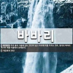 바바리 뜻
