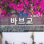 바브교 뜻
