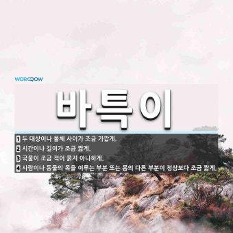 바특이 뜻: 두 대상이나 물체 사이가 조금 가깝게.
