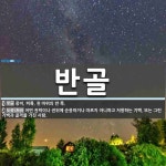 반골 뜻