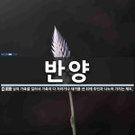 반양 뜻: 남의 가축을 길러서 가축이 다 자라거나 새끼를 낸 뒤에 주인과 나누어 가지는 제도.
