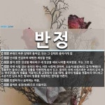 반정 뜻: 본래의 바른 상태로 돌아감. 또는 그 상태로 돌아가게 함., 난리를 진압하여 태평한 세상을 [국어 사전]