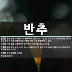 반추 뜻: 한번 삼킨 먹이를 다시 게워 내어 씹음. 또는 그런 일. 소나 염소 따위와 같이 소화가 힘 [국어 사전]