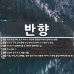 반향 뜻: 어떤 사건이나 발표 따위가 세상에 영향을 미치어 일어나는 반응., 소리가 어떤 장애물에 부 [국어 사전]