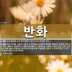 반화 뜻: 신의 둘레를 낮게 하여 발등이 거의 드러나게 만든 구두., 조선 시대에, 궁중과 지방의 각 [국어 사전]
