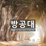 방공대 뜻: 방공 임무를 수행하는 각 단위의 부대.