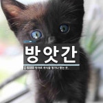 방앗간 뜻: 방아로 곡식을 찧거나 빻는 곳.