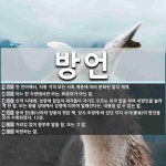 방언 뜻