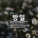 방일 뜻