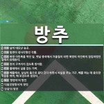 방추 뜻: 날이 네모난 송곳., 밑면이 정사각형인 각뿔., 북방 이민족을 막던 일. 옛날 중국에서 가 [국어 사전]