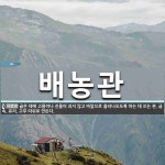 배농관 뜻: 곪은 데에 고름이나 진물이 괴지 않고 바깥으로 흘러나오도록 하는 데 쓰는 관. 금속, 유리
