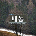 배농 뜻: 곪은 곳을 째거나 따서 고름을 빼냄.