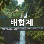 배합제 뜻: 약물의 물성, 작업성을 양호하게 하고, 만들어진 제품에 목표로 하는 특성이 부여될 수 있도