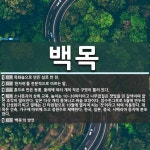 백목 뜻: 목화솜으로 만든 실로 짠 천., ‘흰자위’를 전문적으로 이르는... [국어 사전] 백목 뜻: 목화솜으로 만든 실로 짠 천., ‘흰자위’를... 