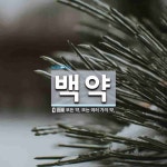 백약 뜻