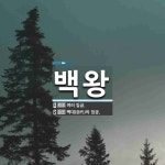 백왕 뜻: 여러 임금., 백대(百代)의 임금. [국어 사전]