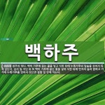 백하주 뜻
