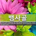 뱀사골 뜻: 전라남도 남원시 산내면에 있는 계곡. 지리산 국립 공원 내에 위치하고 있으며, 수량이 풍부