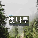 뱃나루 뜻