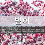범어 뜻: 수사학(修辭學)에서, ‘국가’, ‘권리’와 같이 넓은 의미... 사전] 범어 뜻: 수사학(修辭學)에서, ‘국가’, ‘권리’와 같이 넓은 의미... 