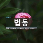 법동 뜻