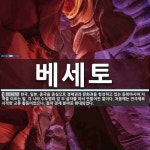 베세토 뜻