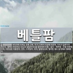 베틀팜 뜻: 야자과에 속하는 상록 교목. 키가 25미터 이상에 이르며, 가지가 갈라지지 않는다. 열매인