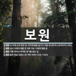 보원 뜻: 성 위에 낮게 쌓은 담. 여기에 몸을 숨기고 적을 감시하거나 공격하거나 한다., 남이 저에 [국어 사전]