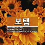 보탬 뜻: 보태고 더하는 일. 또는 그런 것., 보태어 돕는 일. 또는 그런 것., 결혼식이나 상갓집 [국어 사전]
