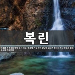 복린 뜻