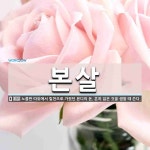 본살 뜻: 노름판 따위에서 밑천으로 가졌던 본디의 돈. 흔히 잃은 것을 셈할 때 쓴다.