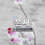 본새 뜻: 어떤 물건의 본디의 생김새., 어떠한 동작이나 버릇의 됨됨이. [국어 사전]