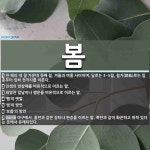 봄 뜻: 한 해의 네 철 가운데 첫째 철. 겨울과 여름 사이이며, 달로는 3~5월, 절기(節氣)로는 [국어 사전]