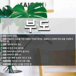 부도 뜻: 이르지 못함., 어음이나 수표를 가진 사람이 기한이 되어도 어음이나 수표에 적힌 돈을 지급 [국어 사전]