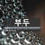 부두 뜻