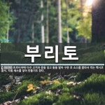 부리토 뜻