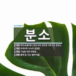 분소 뜻