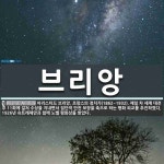 브리앙 뜻: 아리스티드 브리앙, 프랑스의 정치가(1862~1932). 제일 차 세계 대전 후 11회에 브리앙 뜻: 아리스티드 브리앙, 프랑스의... 