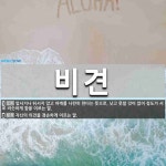 비견 뜻: 앞서거나 뒤서지 않고 어깨를 나란히 한다는 뜻으로, 낫고 못할 것이 없이 정도가 서로 비슷 [국어 사전]
