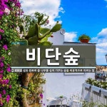 비단숲 뜻: 섬유 원료로 쓸 나무를 심어 가꾸는 숲을 비유적으로 이르는 말.