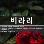 비라리 뜻: 구구한 말을 하여 가며 남에게 무엇을 청하는 일., 곡식이나 천 따위를 많이 가진 사람들로 [국어 사전]