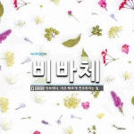 비바체 뜻: 악보에서, 아주 빠르게 연주하라는 말.