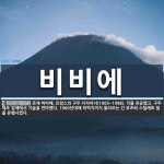 비비에 뜻: 로제 비비에, 프랑스의 구두 디자이너(1903~1998). 각을 전공했고, 구두 제조 업체